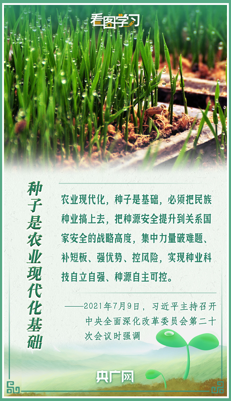 看圖學(xué)習(xí)|牢記總書記叮囑 攥緊種子端牢飯碗