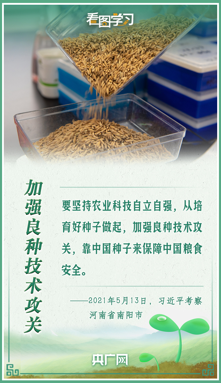 看圖學(xué)習(xí)|牢記總書記叮囑 攥緊種子端牢飯碗