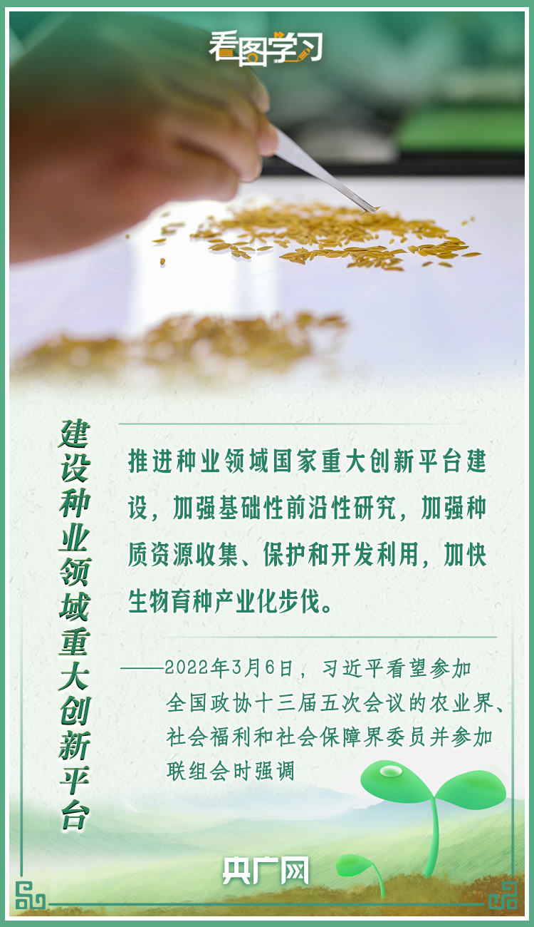 看圖學(xué)習(xí)|牢記總書記叮囑 攥緊種子端牢飯碗