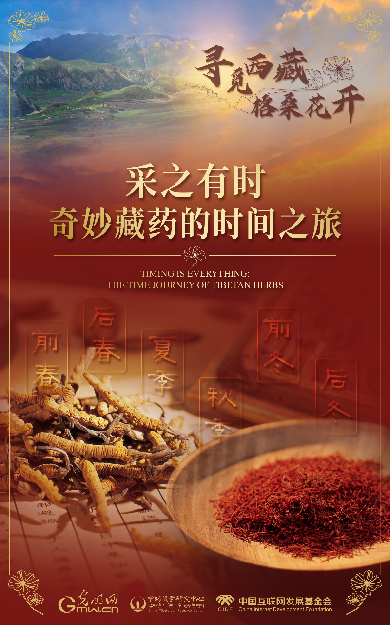 【尋覓西藏·格?；ㄩ_(kāi)】采之有時(shí)：奇妙藏藥的時(shí)間之旅