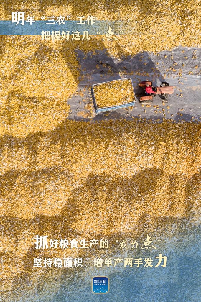 明年“三農(nóng)”工作，這幾個“點”要把握好