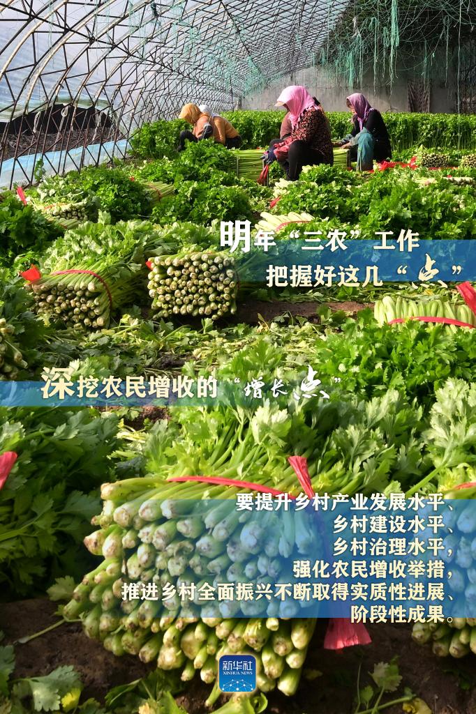 明年“三農(nóng)”工作，這幾個“點”要把握好