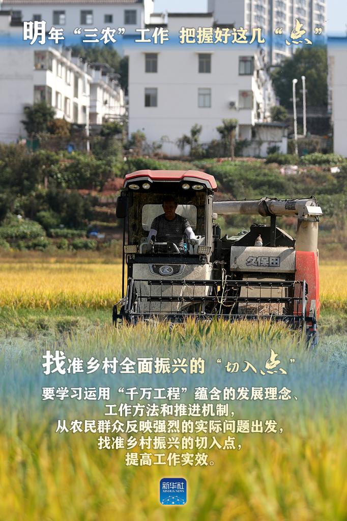 明年“三農(nóng)”工作，這幾個“點”要把握好