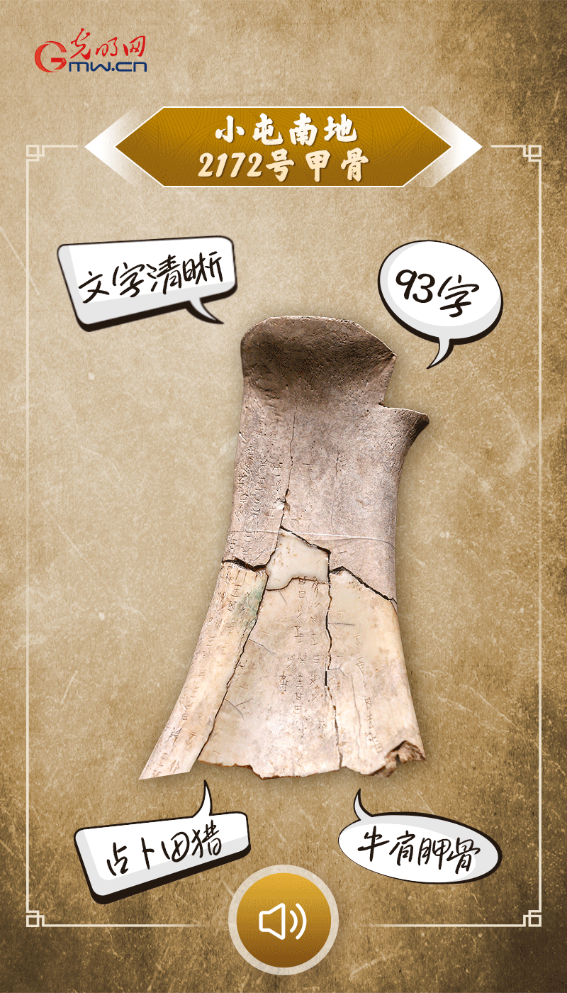 文物會(huì)說(shuō)話 | 殷墟博物館新館開館啦，帶你奔赴“千年之約”