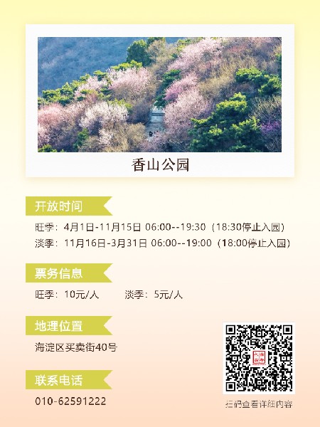 追花指南第六期！杏花雨 楊柳風(fēng) 北京最美的杏花在這里