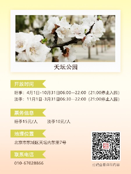 追花指南第六期！杏花雨 楊柳風(fēng) 北京最美的杏花在這里