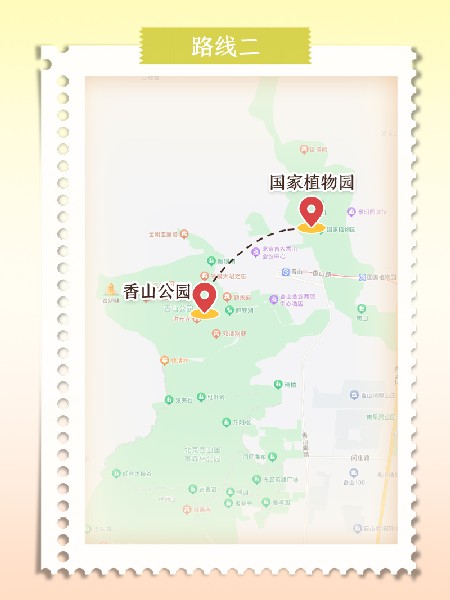 追花指南第六期！杏花雨 楊柳風(fēng) 北京最美的杏花在這里