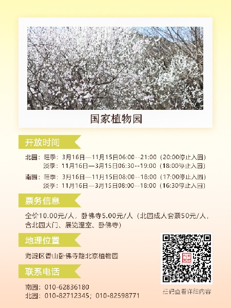 追花指南第六期！杏花雨 楊柳風(fēng) 北京最美的杏花在這里