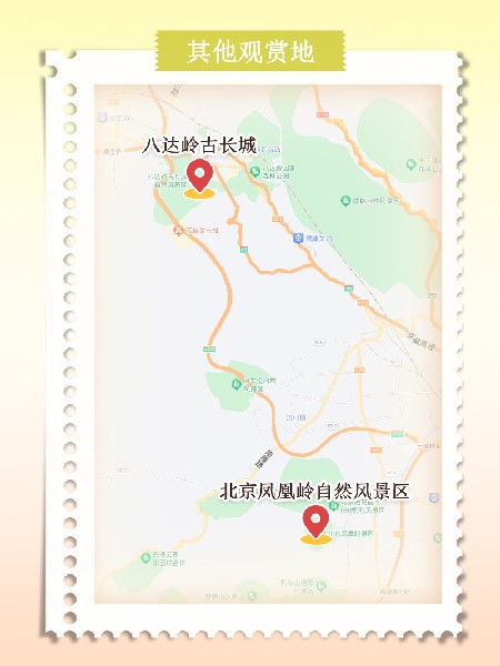 追花指南第六期！杏花雨 楊柳風(fēng) 北京最美的杏花在這里