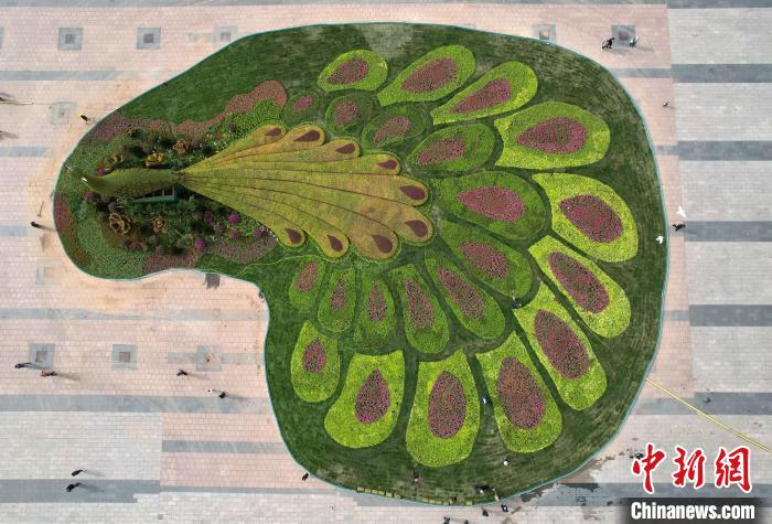 圖為航拍花壇。(無(wú)人機(jī)照片) 翟羽佳 攝