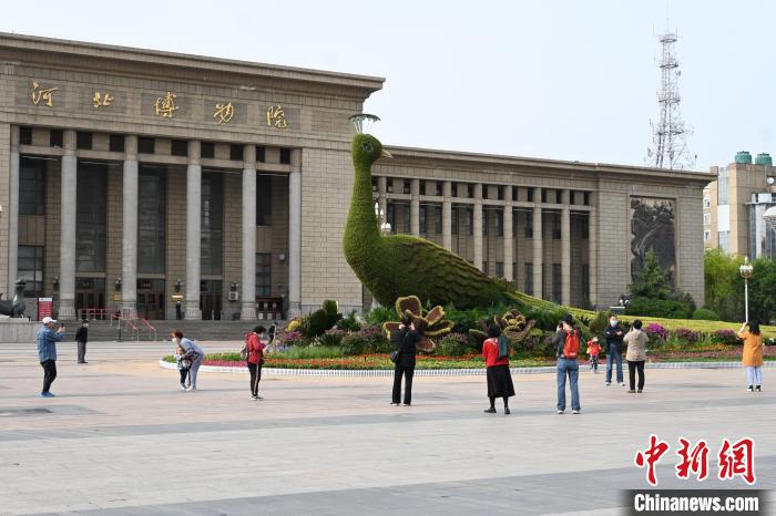 圖為游客在花壇前拍照打卡?！〉杂鸺?攝