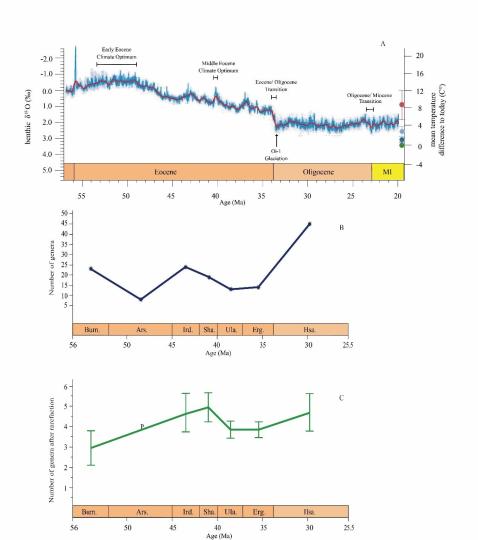 早始新世至早漸新世東亞嚙齒類屬級多樣性變化?！≈锌圃汗偶棺邓?供圖