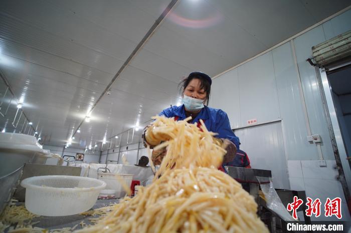 圖為一名工人正在處理切成條狀后的酸筍?！№f國政 攝