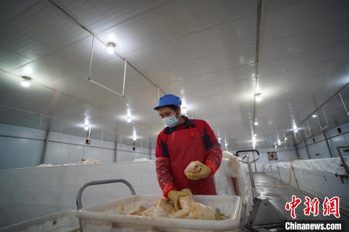 圖為一名工人正在查看酸筍腌制效果?！№f國政 攝