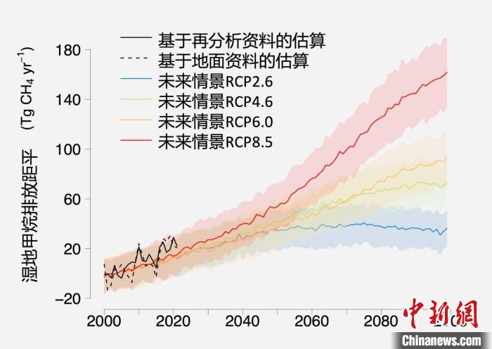 基于觀測(cè)的濕地甲烷排放變化與未來(lái)氣候變化情景下估算的對(duì)比?！≈锌圃呵嗖馗咴?供圖