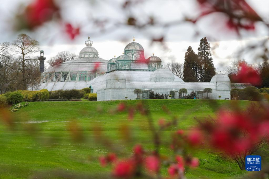 這是4月14日在比利時布魯塞爾拍攝的拉肯宮王家溫室花園。新華社記者 鄭煥松 攝