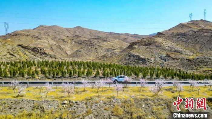 生態(tài)修復后逐漸變綠的賀蘭山石嘴山段?！∈焐绞形麄鞑抗﹫D