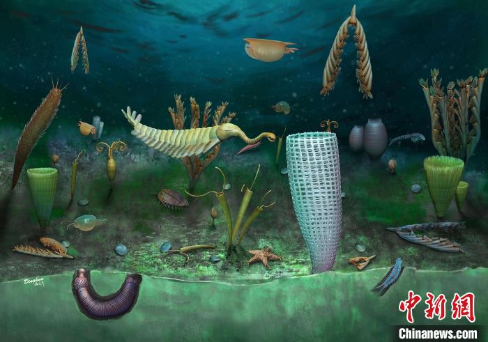 Castle Bank動(dòng)物群藝術(shù)復(fù)原圖(Yang Dinghua繪制)?！∈┢樟指瘛ぷ匀?供圖