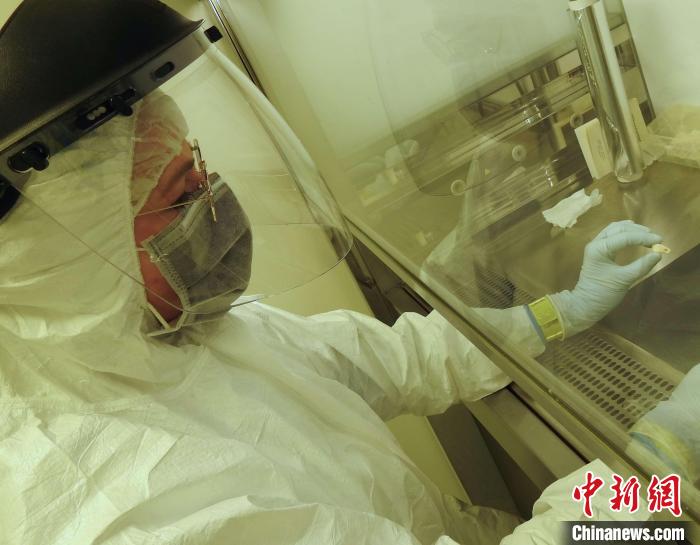 Elena Essel在凈室中處理鹿牙墜飾(圖片來(lái)自馬克斯·普朗克演化人類學(xué)研究所)。　施普林格·自然 供圖