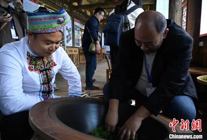 東盟國家媒體記者了解制茶工藝。　張卓 攝