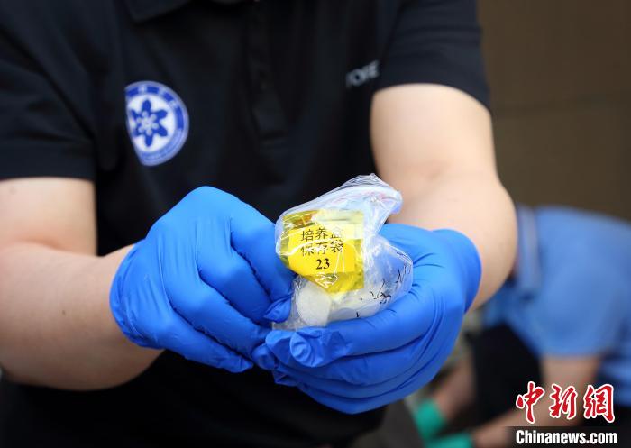 隨神舟十五號返回地面的空間科學(xué)實驗樣品?！≈锌圃嚎臻g應(yīng)用中心 供圖