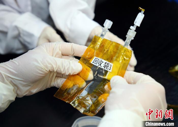 隨神舟十五號返回地面的空間科學(xué)實驗樣品?！≈锌圃嚎臻g應(yīng)用中心 供圖
