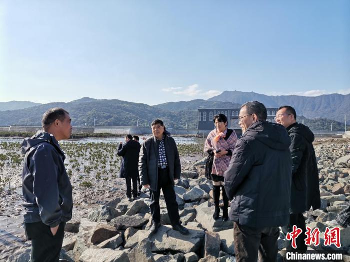 浙江海洋生態(tài)觀察：智慧大腦如何解鎖藍(lán)色發(fā)展密碼？