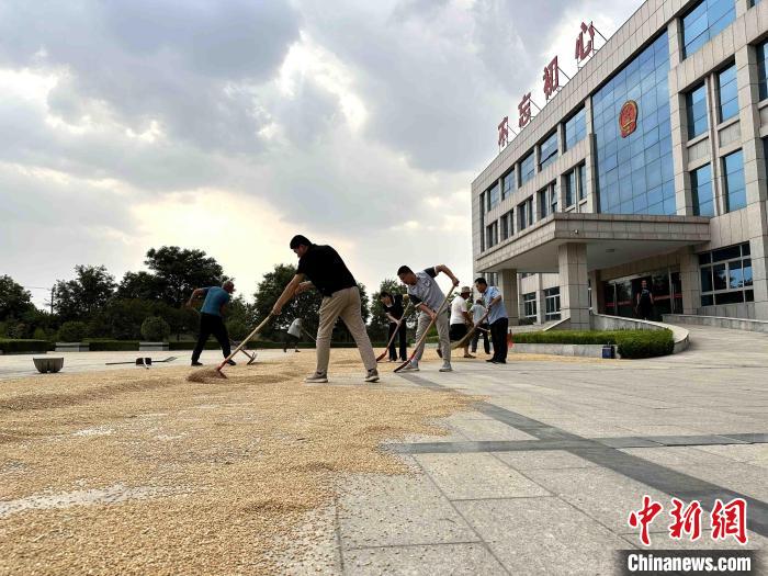 平原縣組織志愿者幫助農(nóng)民晾曬小麥?！垈?攝