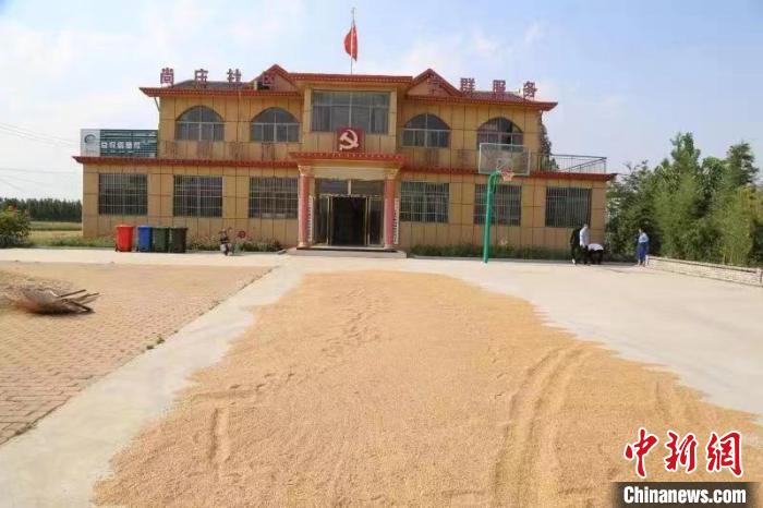 農(nóng)民在邳莊鎮(zhèn)尚莊村黨群服務(wù)中心大院里曬糧?！≠Z萌 攝