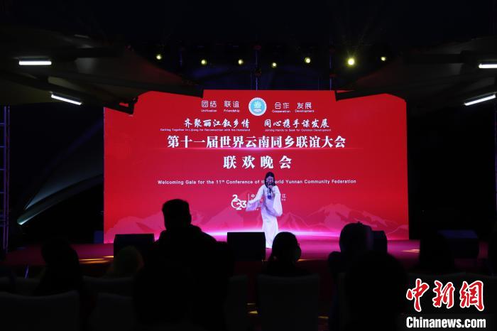 圖為第十一屆世界云南同鄉(xiāng)聯(lián)誼大會舉辦聯(lián)歡晚會?！〈抻澜?攝