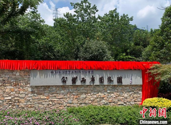 “公望兩岸圓緣園”開園?！」溻?攝