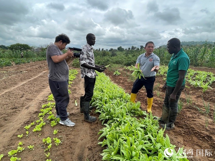 人民網(wǎng)記者走進(jìn)尼日利亞農(nóng)業(yè)技術(shù)示范中心。人民網(wǎng)記者 趙艷紅攝
