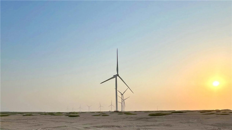 圖為阿聯(lián)酋風(fēng)電示范項(xiàng)目在阿布扎比薩爾巴尼亞斯島上的風(fēng)電場(chǎng)。 中國(guó)電建供圖