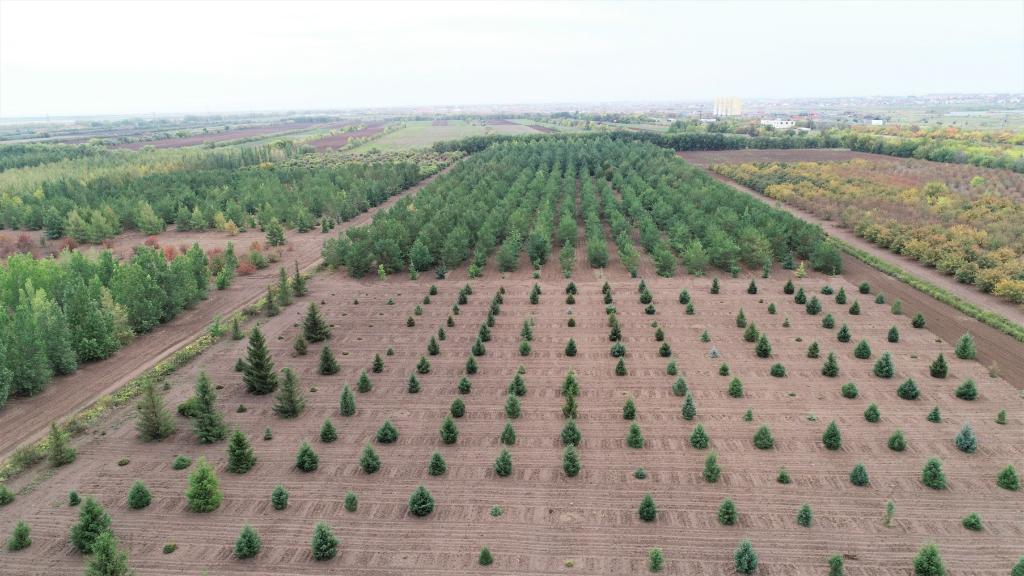 這是2023年9月11日在哈薩克斯坦首都阿斯塔納拍攝的一處植物種質(zhì)資源苗圃（無(wú)人機(jī)照片）。新華社發(fā)（法爾哈特·圖克諾夫 攝）