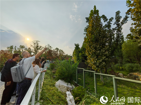 （“絲路獎(jiǎng)”獲獎(jiǎng)嘉賓在參觀成都大熊貓繁育研究基地。本報(bào)記者 王影迪攝）