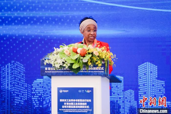 聯(lián)合國(guó)工業(yè)發(fā)展組織總干事代表兼執(zhí)行干事法圖 海達(dá)拉致辭。