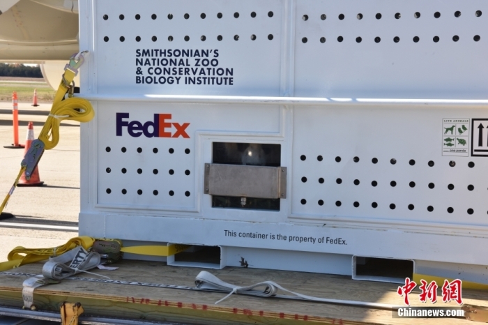 當(dāng)?shù)貢r(shí)間11月8日，美國(guó)華盛頓史密森學(xué)會(huì)國(guó)家動(dòng)物園的大熊貓“美香”“添添”和它們的幼崽“小奇跡”乘坐的專機(jī)從華盛頓杜勒斯國(guó)際機(jī)場(chǎng)起飛前往中國(guó)成都。圖為裝有大熊貓的特制“旅行箱”。<a target='_blank' href='/'><p  align=