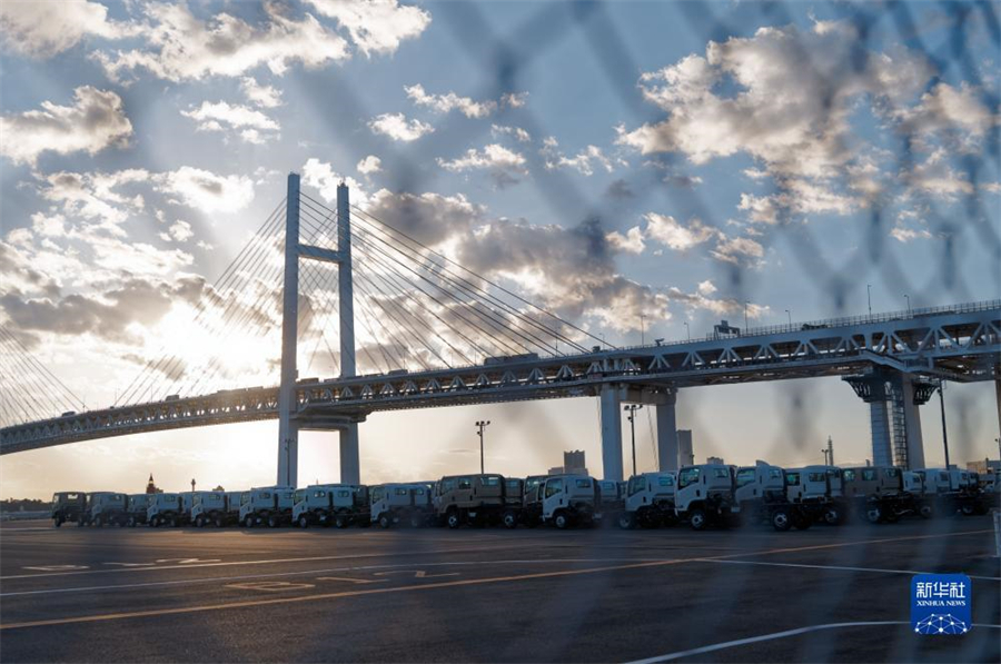 這是11月14日在日本橫濱拍攝的進出口汽車集散場地。新華社記者 張笑宇 攝