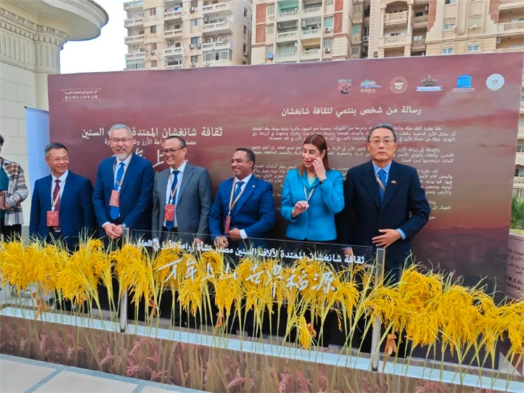 圖為現(xiàn)場(chǎng)嘉賓為特展啟幕。開羅中國(guó)文化中心供圖