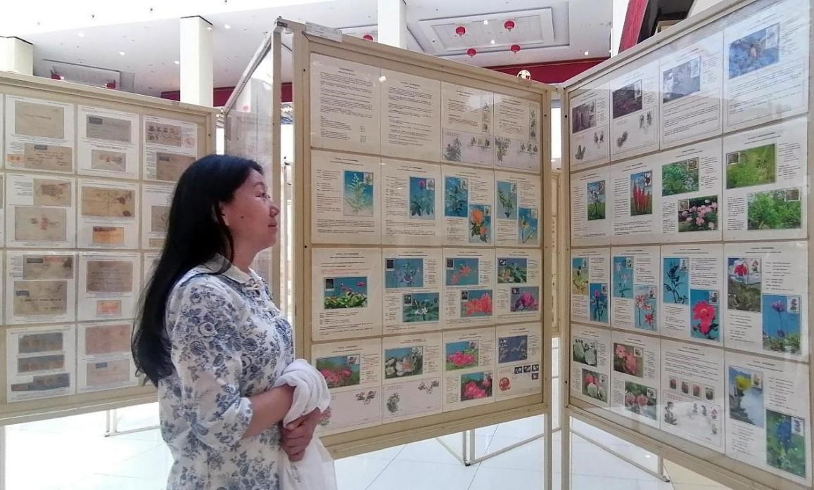 藥用植物極限片展覽場景。第七屆阿聯(lián)酋集郵展主辦方供圖