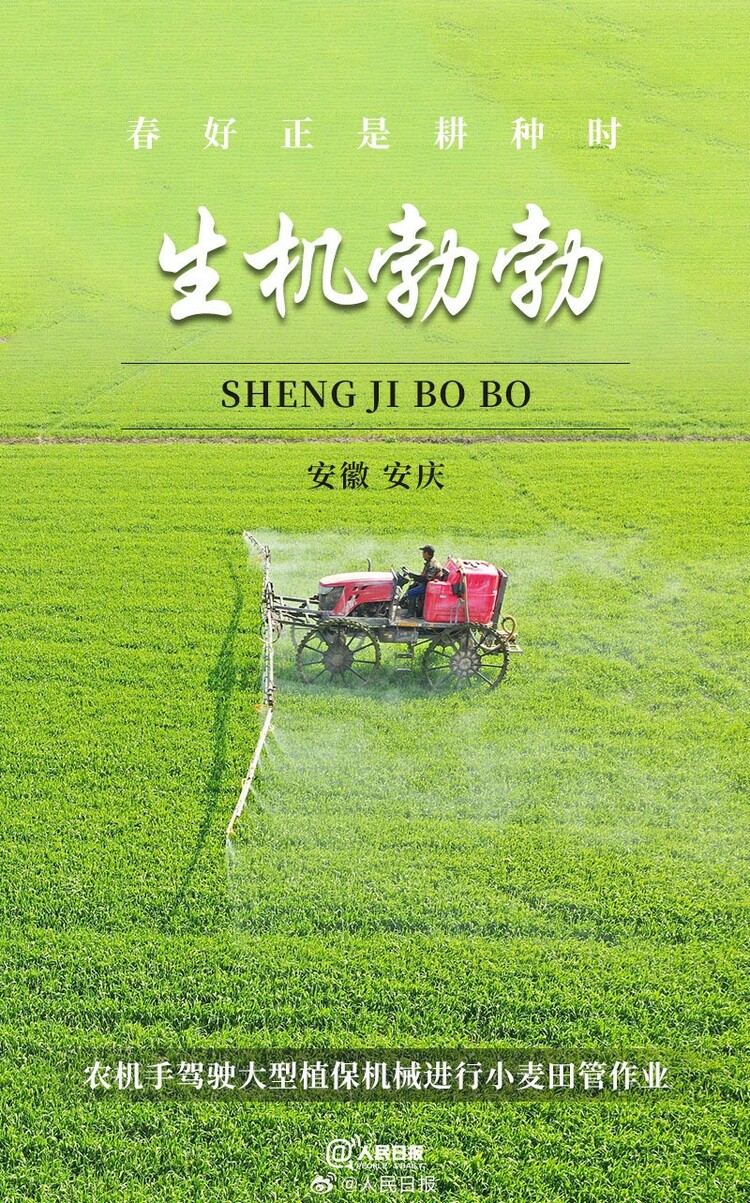 生機(jī)盎然！用課本封面打開春耕畫卷