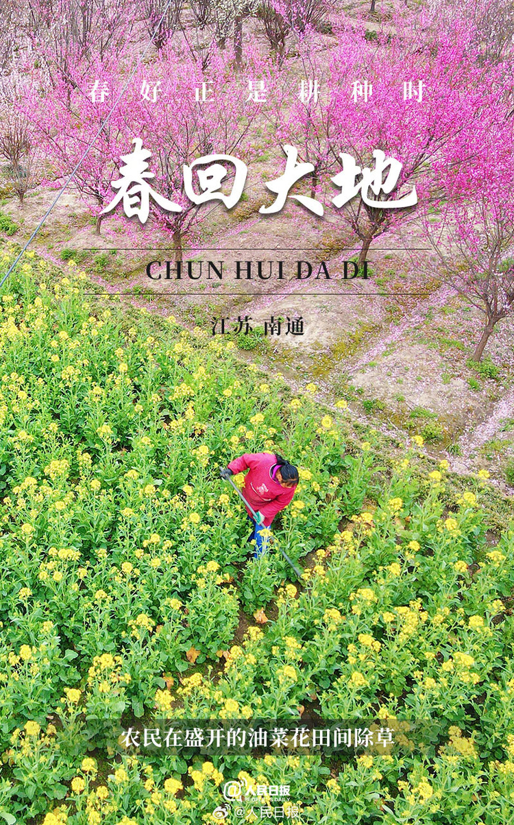 生機(jī)盎然！用課本封面打開春耕畫卷