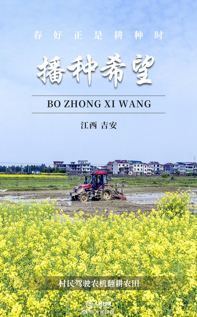 生機(jī)盎然！用課本封面打開春耕畫卷