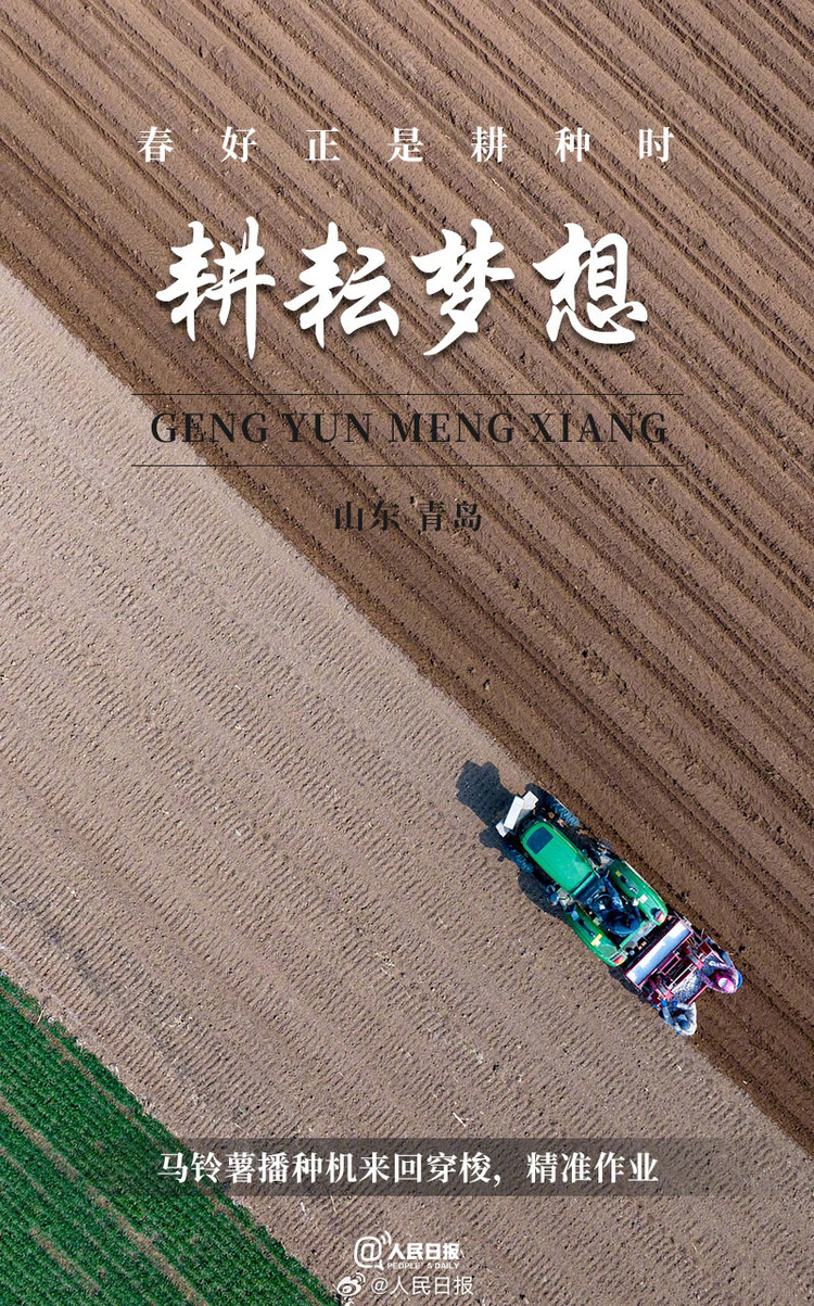 生機(jī)盎然！用課本封面打開春耕畫卷