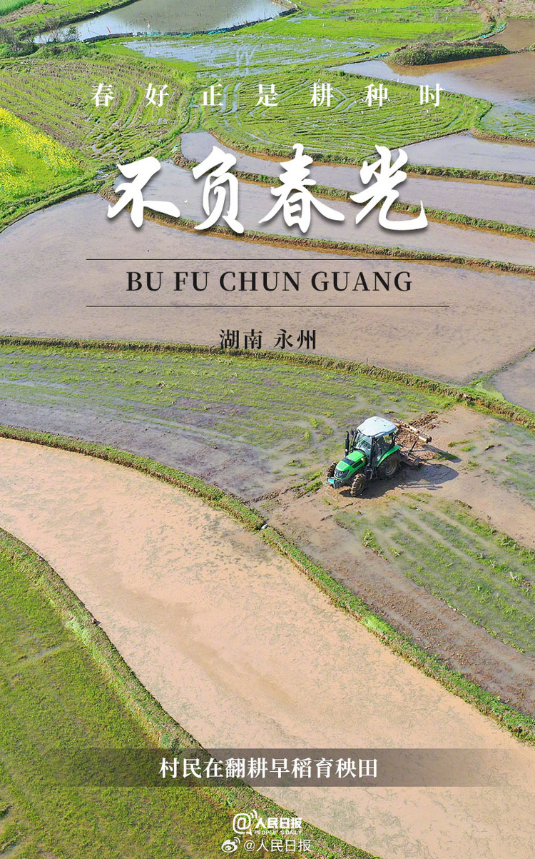 生機(jī)盎然！用課本封面打開春耕畫卷