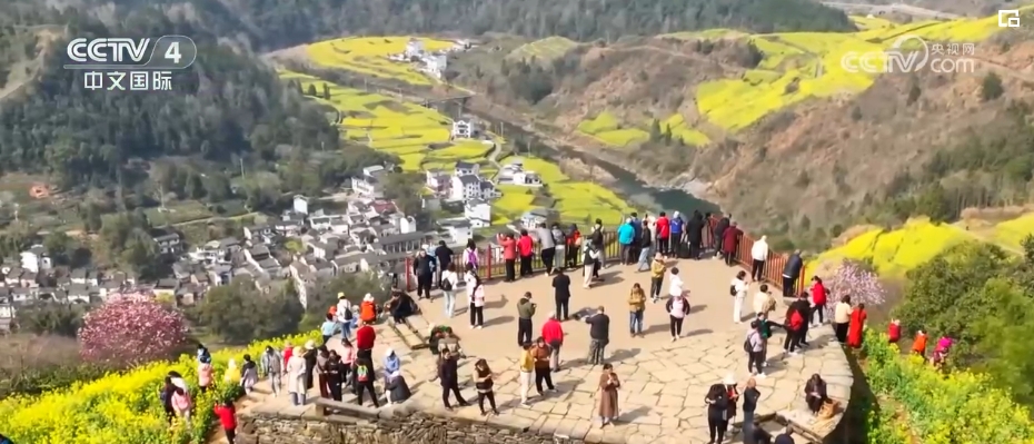 “春日經(jīng)濟(jì)”熱力十足 “賞花+”融合煥新創(chuàng)造發(fā)展場景式消費(fèi)新機(jī)遇