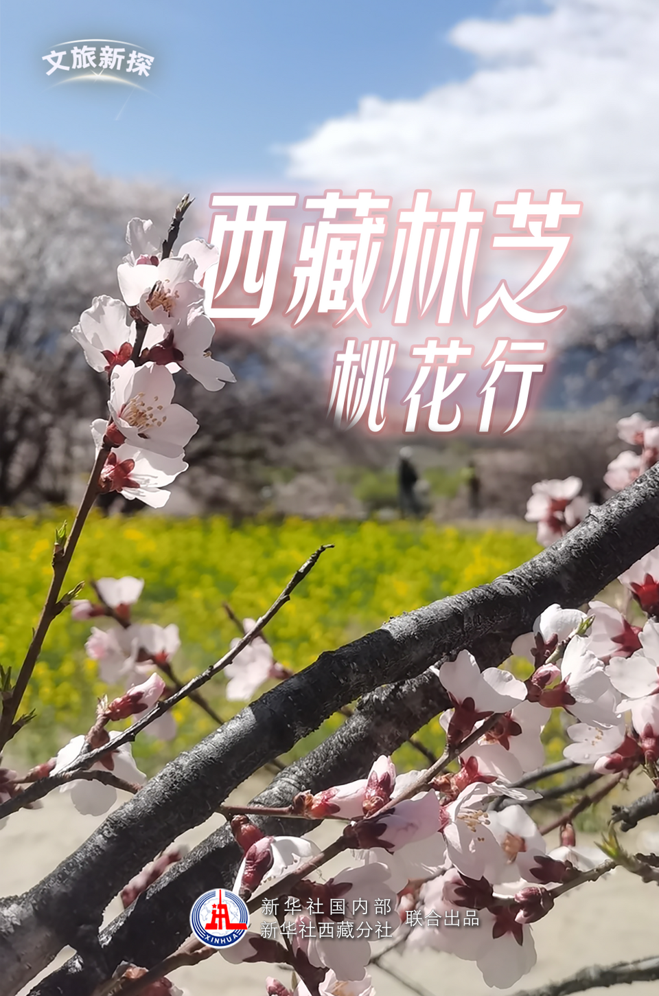 文旅新探|西藏林芝桃花行