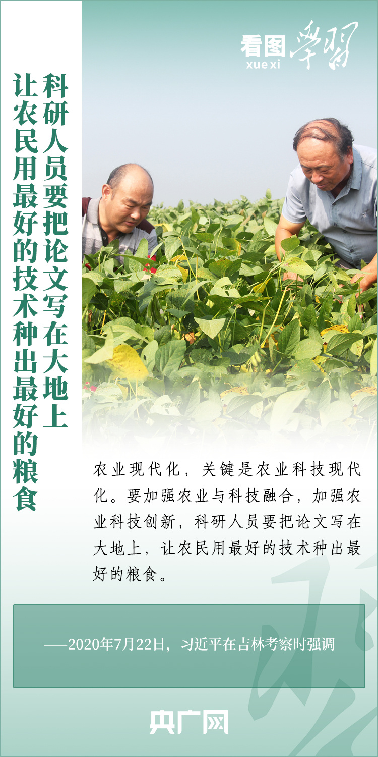 看圖學習丨推廣良田、良種、良法、良機 給農(nóng)業(yè)現(xiàn)代化插上科技的翅膀
