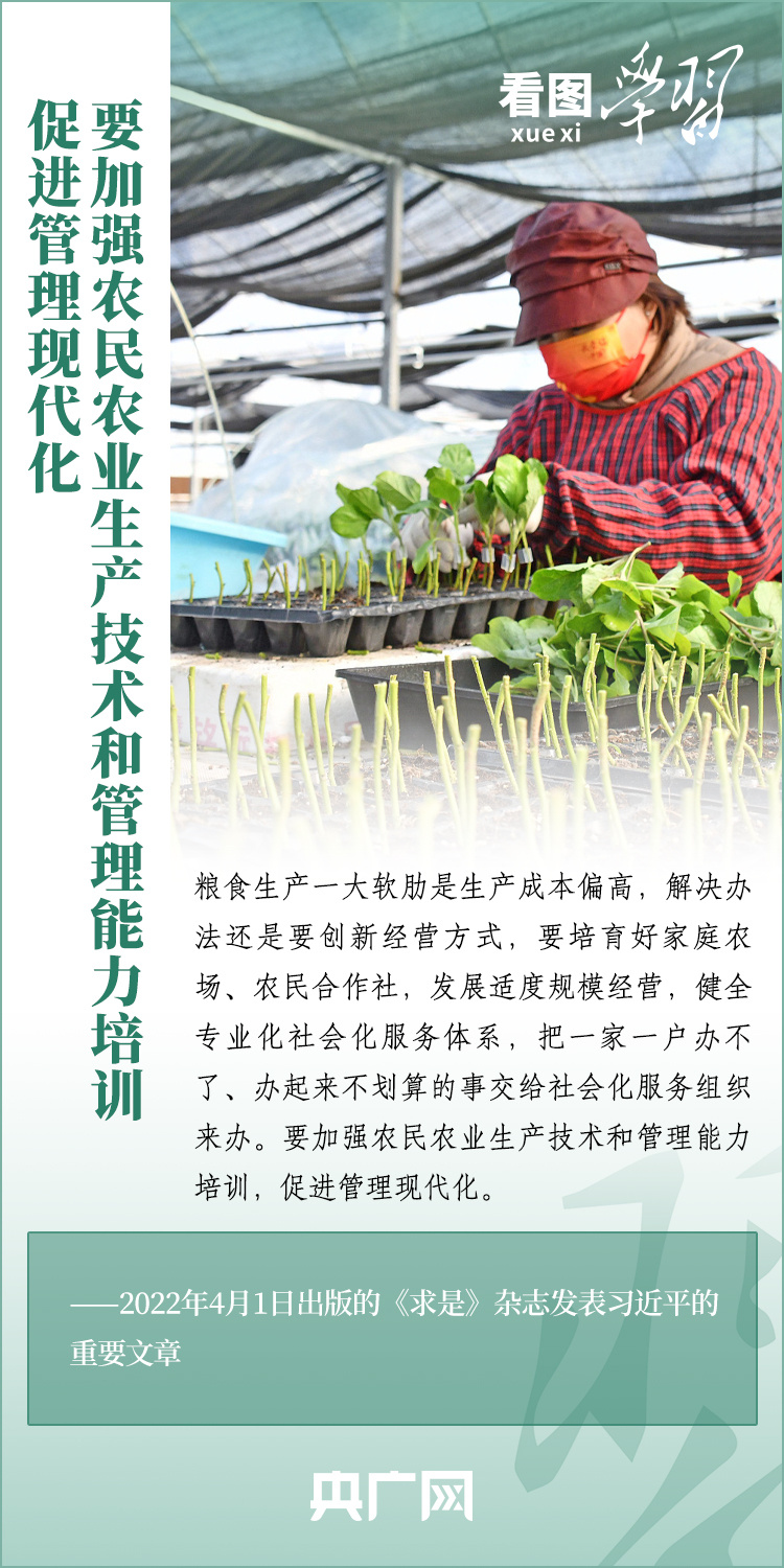 看圖學習丨推廣良田、良種、良法、良機 給農(nóng)業(yè)現(xiàn)代化插上科技的翅膀