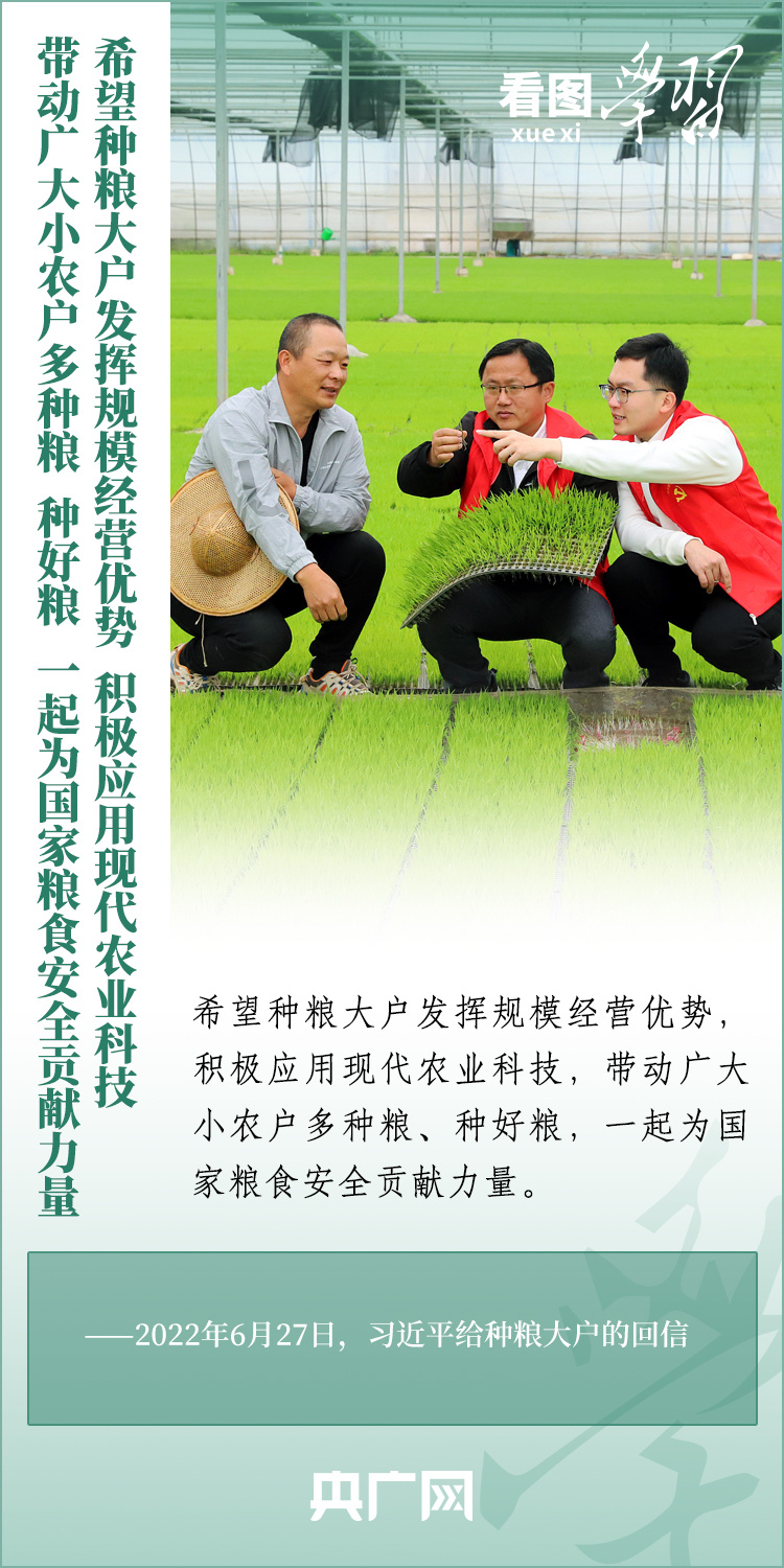 看圖學習丨推廣良田、良種、良法、良機 給農(nóng)業(yè)現(xiàn)代化插上科技的翅膀